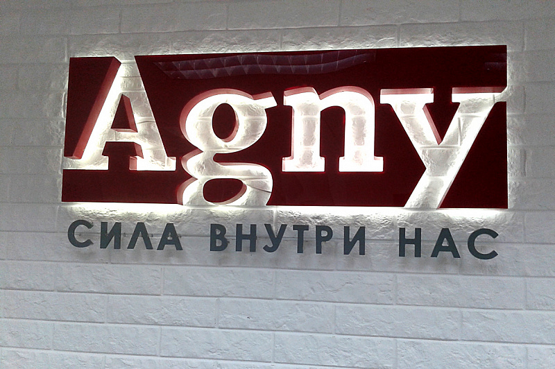 Логотип компании Agny